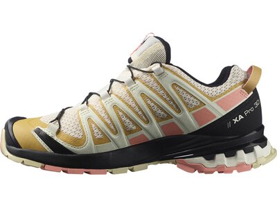 SALOMON Damen Trailrunningschuhe SHOES XA PRO 3D v8 W Frozen Dew/Blooming Braun