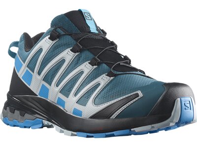 SALOMON Herren Trailrunningschuhe SHOES XA PRO 3D v8 GTX Legion/Blithe/Pea Blau