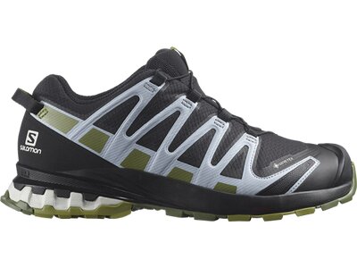 SALOMON Damen Trailrunningschuhe SHOES XA PRO 3D v8 GTX W Black/Green Mos Grau