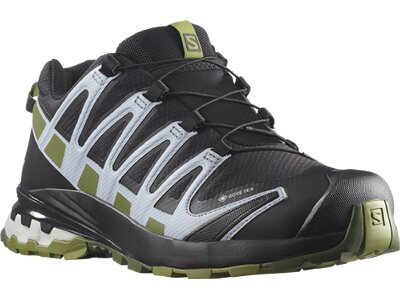 SALOMON Damen Trailrunningschuhe SHOES XA PRO 3D v8 GTX W Black/Green Mos Grau