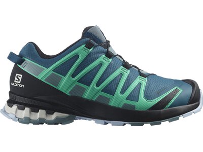 SALOMON Damen Trailrunningschuhe SHOES XA PRO 3D v8 GTX W Legion/Trooper Blau