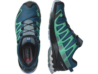 SALOMON Damen Trailrunningschuhe SHOES XA PRO 3D v8 GTX W Legion/Trooper Blau