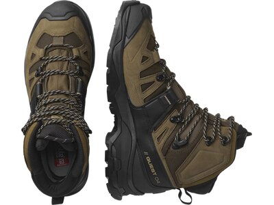 SALOMON Herren Trekkingstiefel SHOES QUEST 4 GTX Desert Palm/Black/Kelp Grau