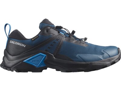 SALOMON Herren Multifunktionsschuhe SHOES X RAISE 2 GTX Legion/Mgnt/Blithe Grau