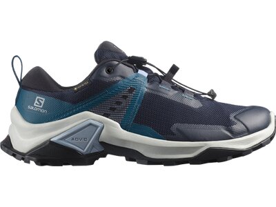 SALOMON Damen Multifunktionsschuhe SHOES X RAISE 2 GTX W Nisk/Legion/Zen Bl Grau