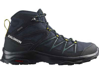 SALOMON Herren Multifunktionsstiefel SHOES DAINTREE MID GTX Nisk/Black/Antiqu Schwarz