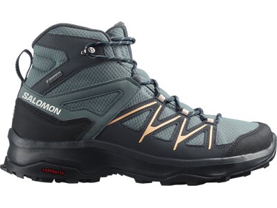 SALOMON Damen Multifunktionsstiefel SHOES DAINTREE MID GTX W StoWea/Ebony/Al Grau