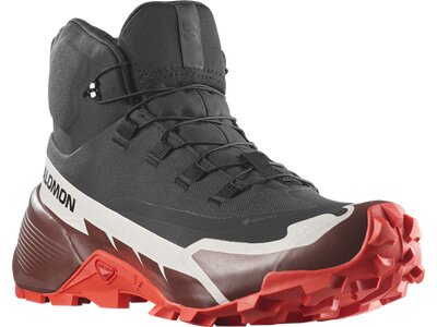 SALOMON Herren Multifunktionsstiefel SHOES CROSS HIKE MID GTX 2 Black/Bitter Grau