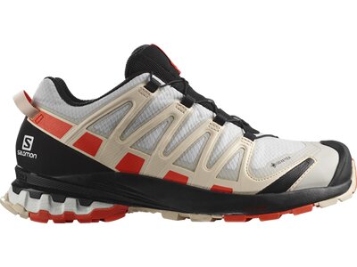 SALOMON Damen Trailrunningschuhe SHOES XA PRO 3D v8 GTX W LunRoc/Chert/Su Pink
