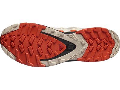 SALOMON Damen Trailrunningschuhe SHOES XA PRO 3D v8 GTX W LunRoc/Chert/Su Pink