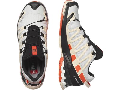 SALOMON Damen Trailrunningschuhe SHOES XA PRO 3D v8 GTX W LunRoc/Chert/Su Pink