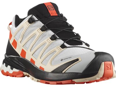 SALOMON Damen Trailrunningschuhe SHOES XA PRO 3D v8 GTX W LunRoc/Chert/Su Pink