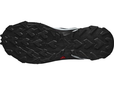 SALOMON Herren Trailrunningschuhe SHOES SUPERCROSS 4 Grau