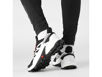 SALOMON Herren Trailrunningschuhe SHOES SUPERCROSS 4 Grau