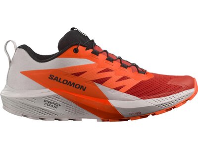 SALOMON Herren Trailrunningschuhe SHOES SENSE RIDE 5 LunRoc/Shoc Braun