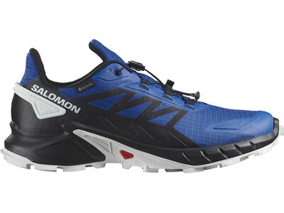 SALOMON Herren Trailrunningschuhe SHOES SUPERCROSS 4 GTX Lapis/B Grau