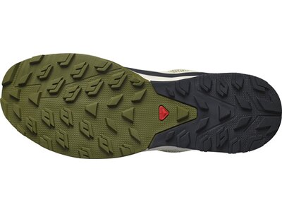 SALOMON Herren Multifunktionsschuhe SHOES OUTRISE GTX Moss Gray/OlvNig/Sugar Grün