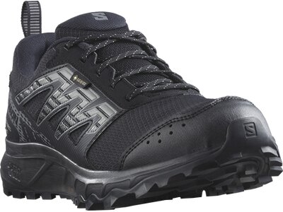 SALOMON Herren Trailrunningschuhe SHOES WANDER GTX Black/Pewter/ Schwarz