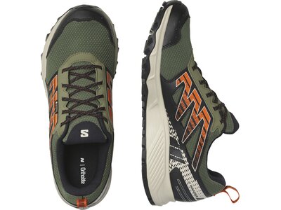 SALOMON Herren Trailrunningschuhe SHOES WANDER GTX Deep Lichen Green/Rainy Grün