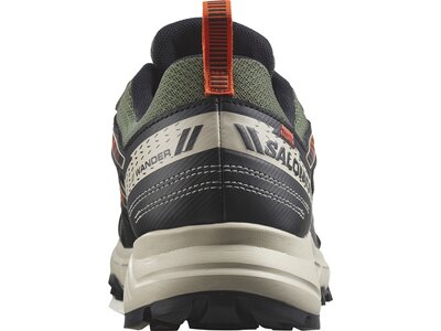 SALOMON Herren Trailrunningschuhe SHOES WANDER GTX Deep Lichen Green/Rainy Grün