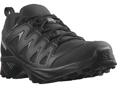 SALOMON Herren Multifunktionsschuhe SHOES X BRAZE GTX Black/Black/Phantom Schwarz