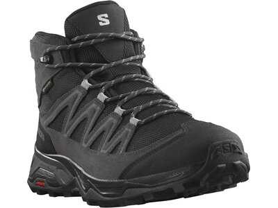 SALOMON Herren Multifunktionsstiefel SHOES X WARD LEATHER MID GTX Phantm/Blac Grau