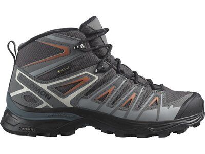 SALOMON Damen Multifunktionsstiefel SHOES X ULTRA PIONEER MID GTX W Mgnt/QuS Grau