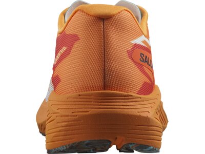 SALOMON Herren Laufschuhe SHOES AERO VOLT Turmeric/Fiery Red/Blra Braun