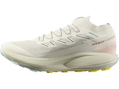 SALOMON Herren Trailrunningschuhe SHOES PULSAR TRAIL 2 /PRO Rainy Day/Hots Grau