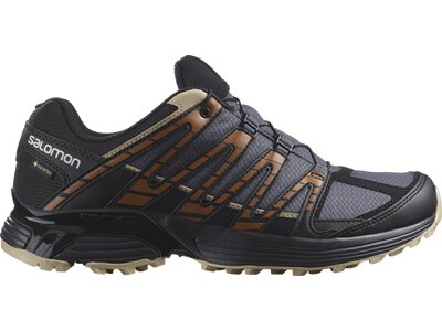 SALOMON Herren Trailrunningschuhe SHOES XT RECKON GTX Ebony/Black/Sugar Al Grau