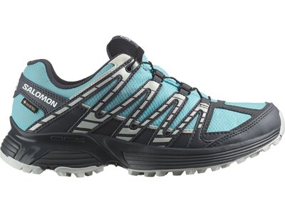 SALOMON Damen Trailrunningschuhe SHOES XT RECKON GTX W Marine Blue/Ebony Grau