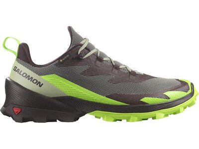 SALOMON Herren Multifunktionsschuhe SHOES CROSS OVER 2 GTX Desert/Grgeck/Cho Grau