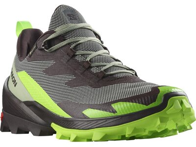 SALOMON Herren Multifunktionsschuhe SHOES CROSS OVER 2 GTX Desert/Grgeck/Cho Grau