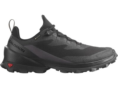 SALOMON Herren Multifunktionsschuhe SHOES CROSS OVER 2 GTX Phantm/Mgnt/Black Grau
