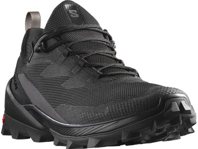 SALOMON Herren Multifunktionsschuhe SHOES CROSS OVER 2 GTX Phantm/Mgnt/Black Grau