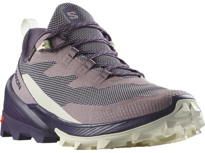 SALOMON Damen Multifunktionsschuhe SHOES CROSS OVER 2 GTX W Quail/Night/Van Grau