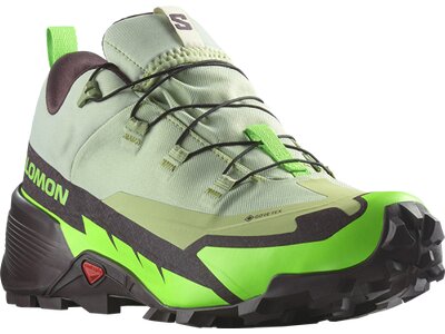 SALOMON Herren Multifunktionsschuhe SHOES CROSS HIKE GTX 2 Desert/Grgeck/Cho Grau