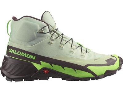 SALOMON Herren Multifunktionsstiefel SHOES CROSS HIKE MID GTX 2 Desert/Grgeck Grau