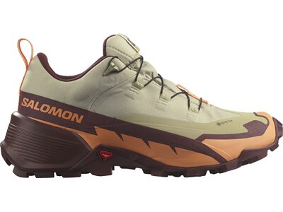 SALOMON Damen Multifunktionsschuhe SHOES CROSS HIKE GTX 2 W Alfalf/Cntlup/B Grau