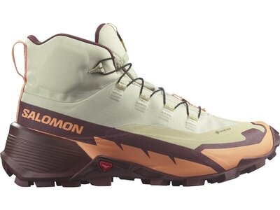 SALOMON Damen Multifunktionsstiefel SHOES CROSS HIKE MID GTX 2 W Alfalf/Cntl Grau