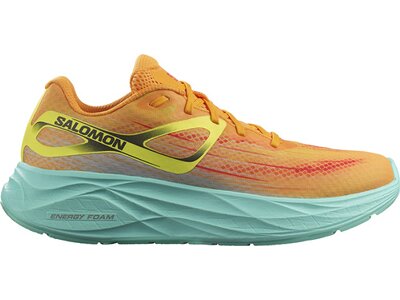 SALOMON Herren Laufschuhe SHOES AERO GLIDE Zinna/Cockatoo/Yellow Braun