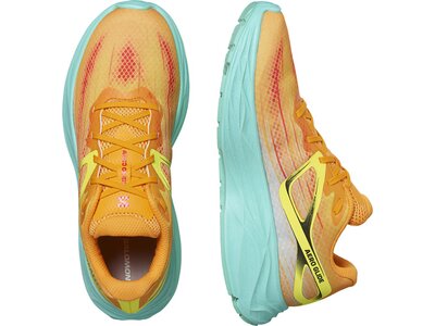 SALOMON Herren Laufschuhe SHOES AERO GLIDE Zinna/Cockatoo/Yellow Braun