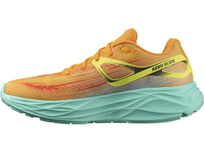 SALOMON Herren Laufschuhe SHOES AERO GLIDE Zinna/Cockatoo/Yellow Braun