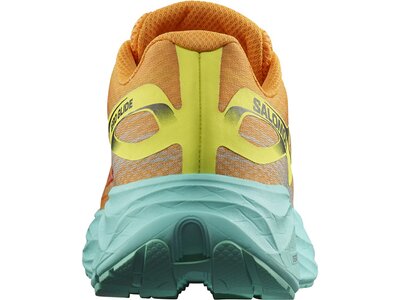 SALOMON Herren Laufschuhe SHOES AERO GLIDE Zinna/Cockatoo/Yellow Braun