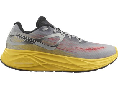 SALOMON Herren Laufschuhe SHOES AERO GLIDE Ghost Gray/Lemon/Black Braun