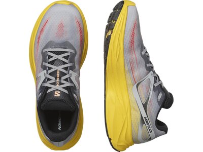 SALOMON Herren Laufschuhe SHOES AERO GLIDE Ghost Gray/Lemon/Black Braun