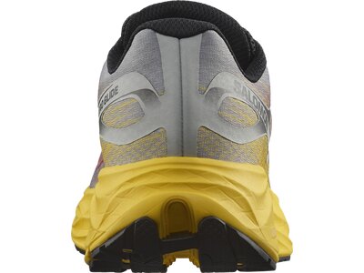 SALOMON Herren Laufschuhe SHOES AERO GLIDE Ghost Gray/Lemon/Black Braun