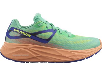 SALOMON Damen Laufschuhe SHOES AERO GLIDE W Ckatoo/Cntlup/Surf W Grau