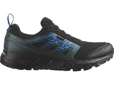 SALOMON Herren Trailrunningschuhe SHOES WANDER GTX Black/Drkspr/Ibizbl Schwarz