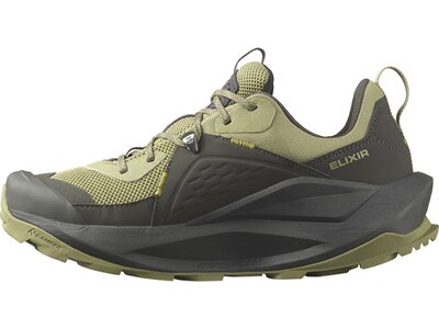 SALOMON Herren Multifunktionsschuhe SHOES ELIXIR GTX Black/Dried Herb/Sthmos Grau